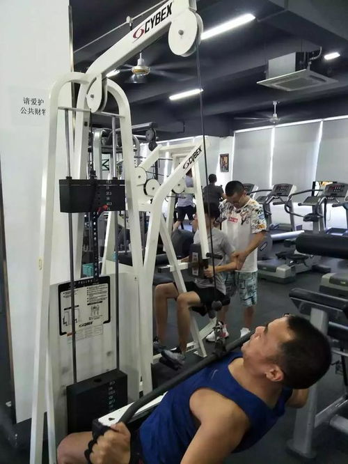 人民網測評 健身護具好幫手，ohmy fit健身護具全面評測報告