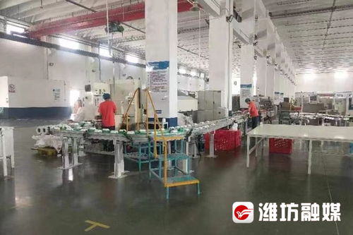 老造紙廠的新篇章 恒聯(lián)集團(tuán)的上市夢(mèng)與裕恒印務(wù)的轉(zhuǎn)型之路